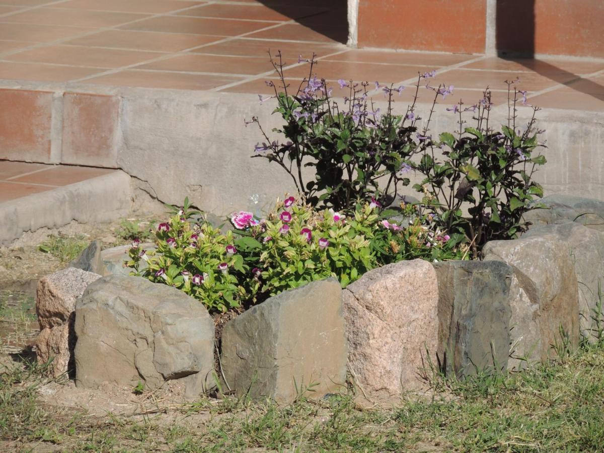 El Rancho De Manolo Ξενοδοχείο Molinos Εξωτερικό φωτογραφία
